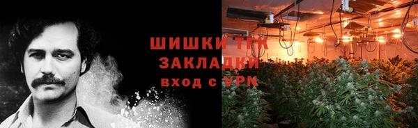 спиды Гусев