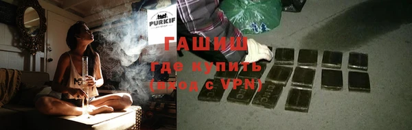 спиды Гусев
