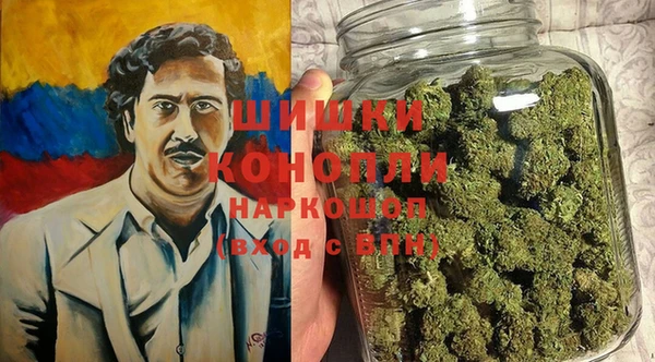 спиды Гусев