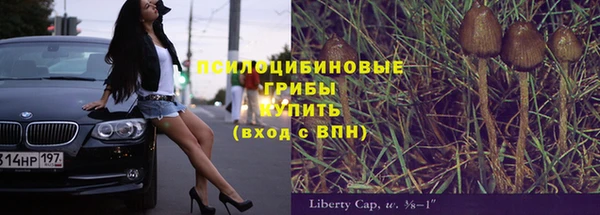 молекула духа Гусиноозёрск